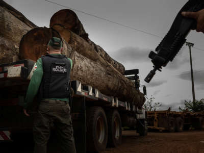 Timber taken from illegal areas is seized in the city of Humaita, Amazonas, Brazil on October 21, 2021.