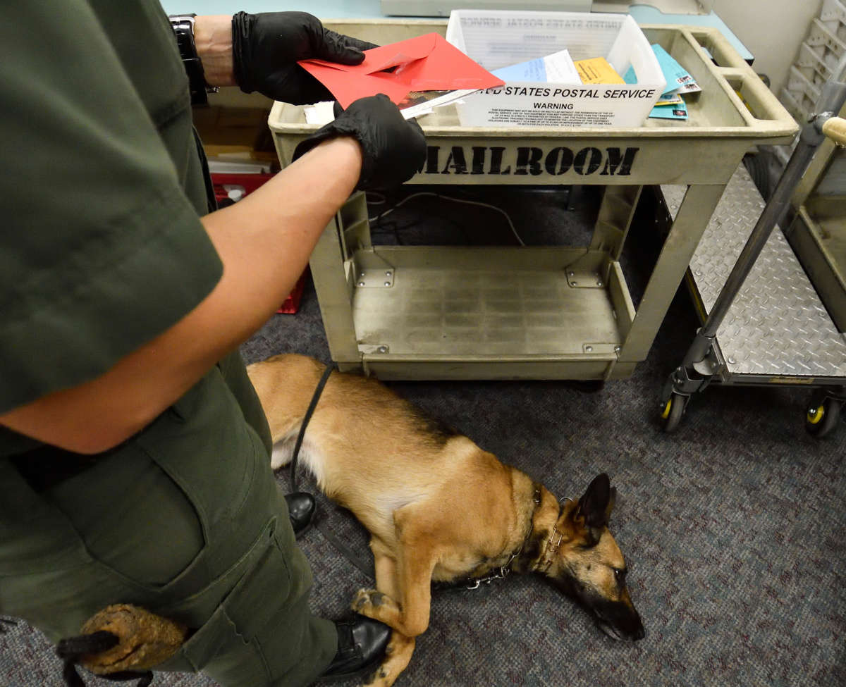 A police dog lies on the ground as a jailer opens people's mail