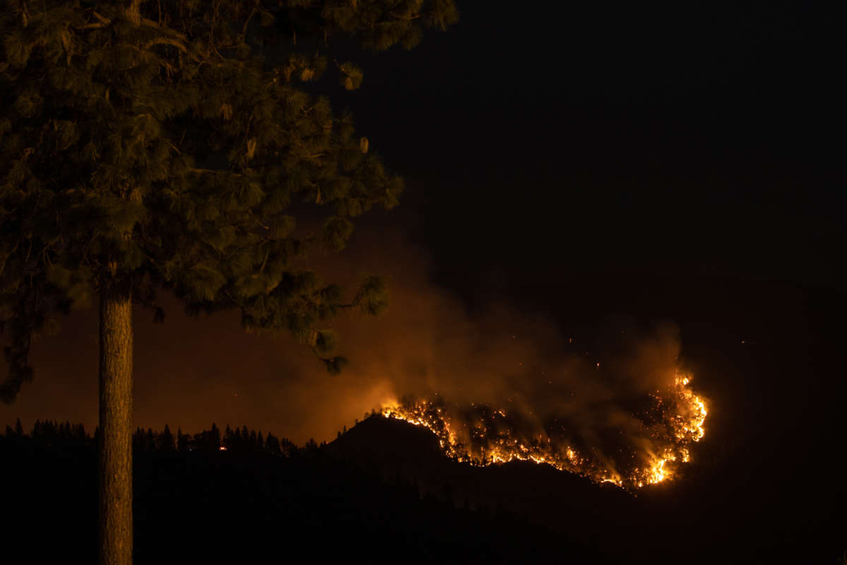 A tree is seen in the foreground as the nighttime horizon beyond it is consumed in flame