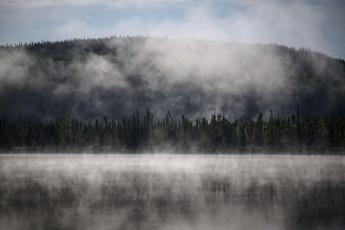 Mist rises from an evergreen forest in a way that's visually reminiscent of steam