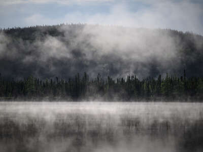 Mist rises from an evergreen forest in a way that's visually reminiscent of steam