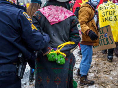 Aitkin County sheriffs arrest Water Protectors during a protest at the construction site of the Line 3 oil pipeline near Palisade, Minnesota, on January 9, 2021.