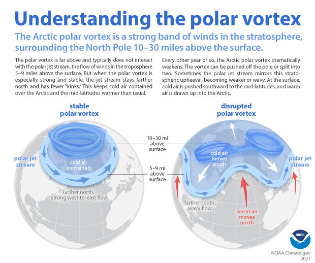Understanding the polar vortex