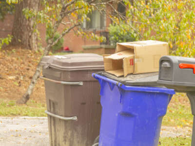 The local government of Valley, Alabama, sent two cops to the home of Martha Menefield, an 82-year-old Black woman living alone, to arrest her for failing to pay $77.80 worth of garbage collection fees.