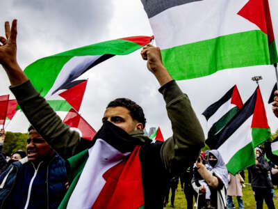 Protesters are seen during a pro-Palestine protest on May 15, 2021 in The Hague, Netherlands.