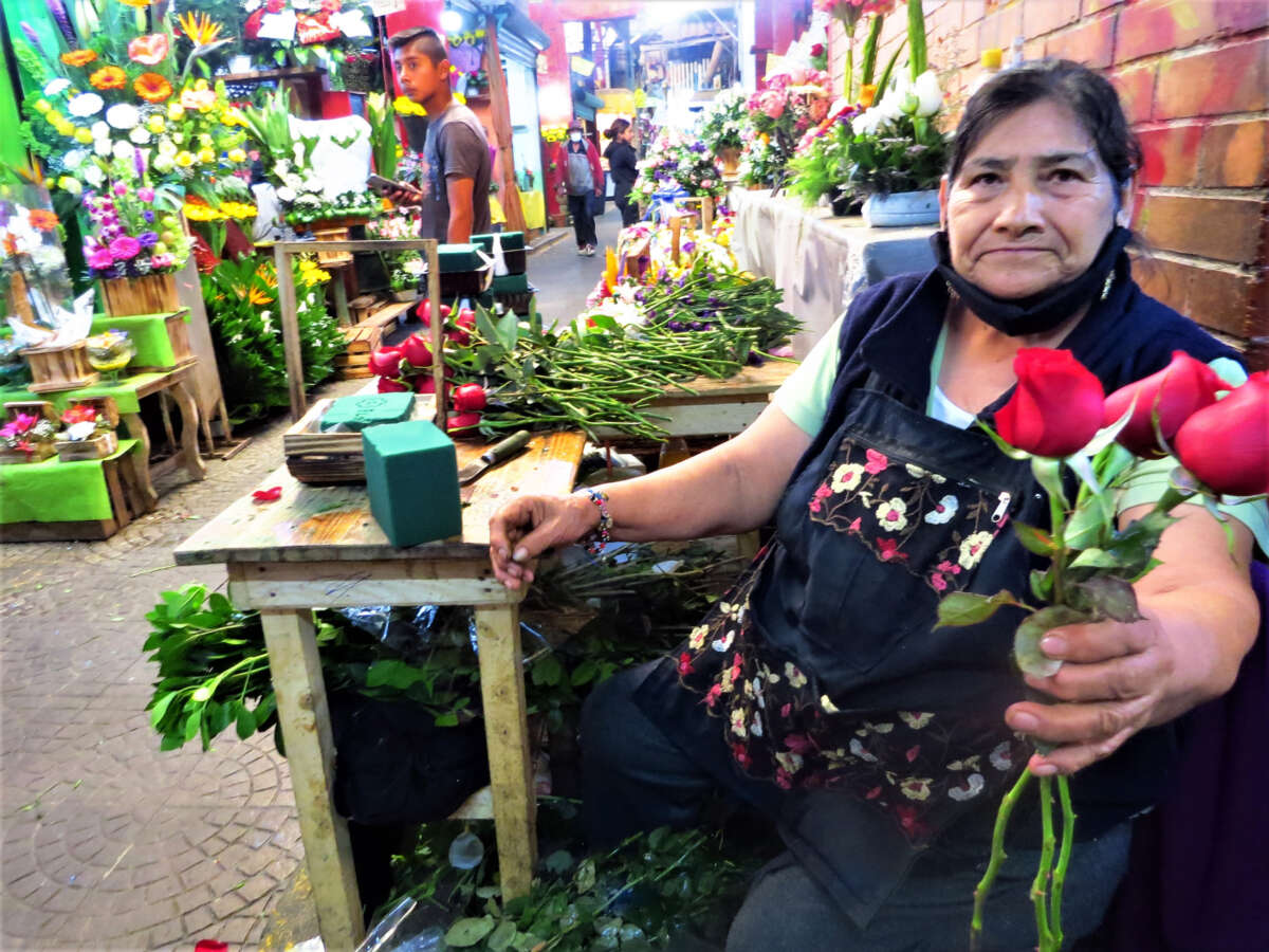 A seated elderly woman at her flower stall presents the viewer with a rose for sale