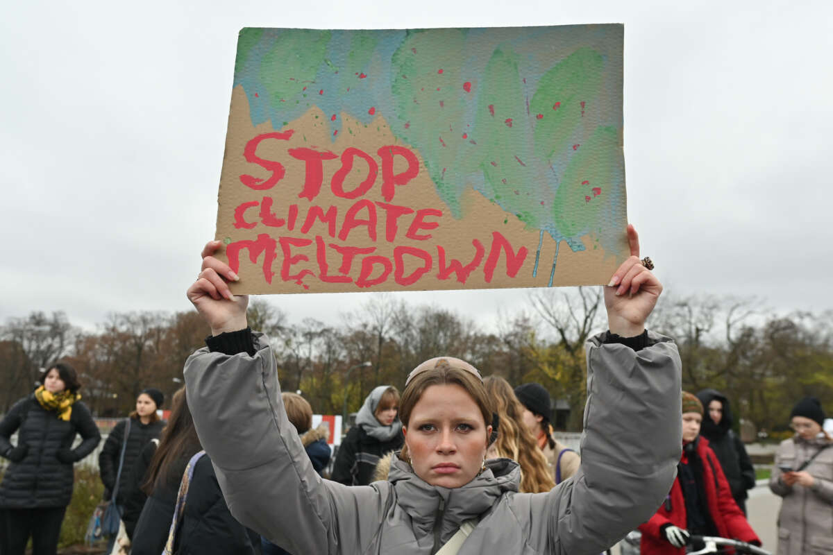 A protester holds a sign reading "STOP CLIMATE MELTDOWN" during an outdoor protest