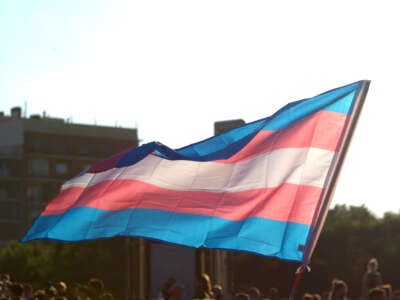 Transgender flag waving during day