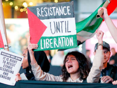 A protester holds a sign painted in the likeness of the Palestinian flag and reading "RESISTANCE UNTIL LIBERATION"