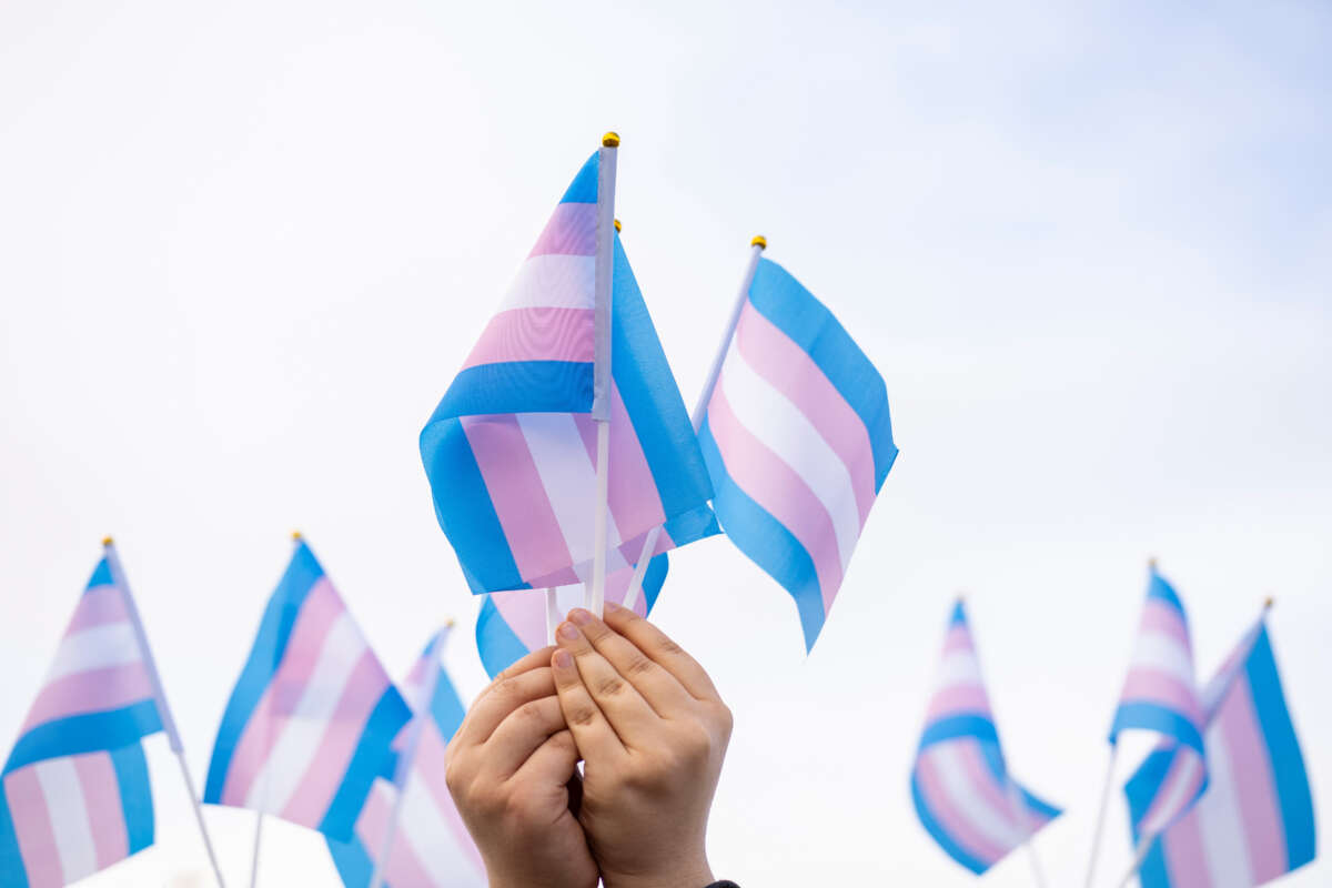 Hands hold up small transgender flags