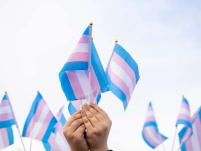 Hands hold up small transgender flags