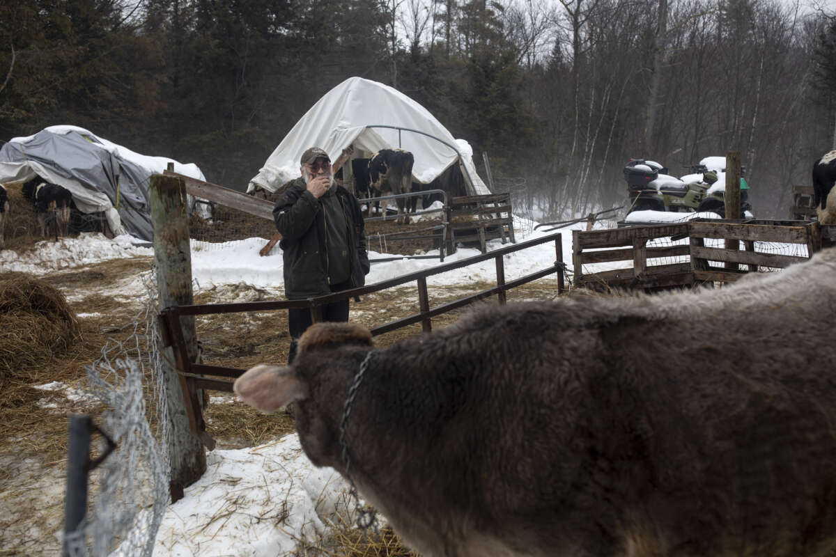 Fred Stone, a dairy farmer whose land and cows are contaminated with the chemicals known as PFAS, on his farm in Arundel, Maine, on January 4, 2020.