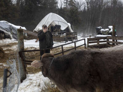 Fred Stone, a dairy farmer whose land and cows are contaminated with the chemicals known as PFAS, on his farm in Arundel, Maine, on January 4, 2020.