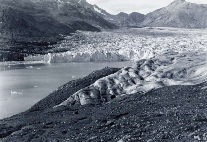 Plateau Glacier, Glacier Bay, Alaska, taken in 1961