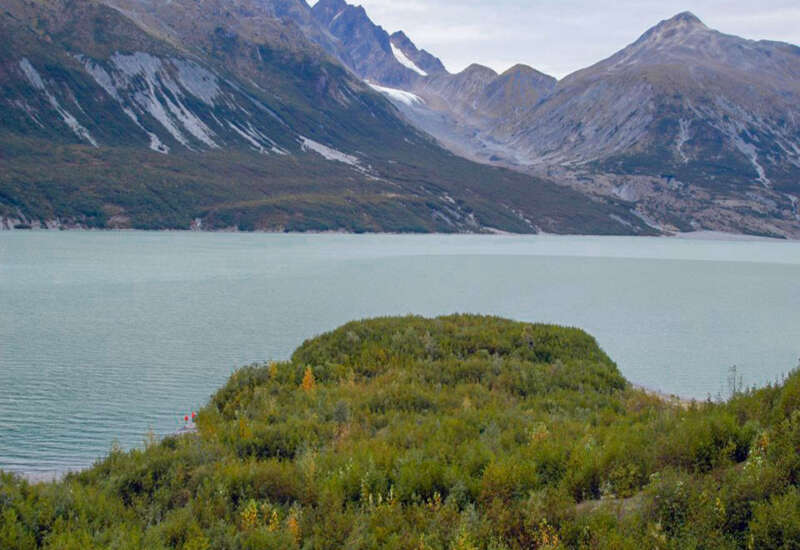 Plateau Glacier, Glacier Bay, Alaska, taken in 2003