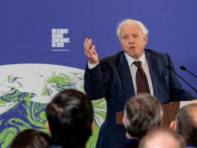 British broadcaster and conservationist David Attenborough speaks during an event to launch the United Nations' Climate Change conference, COP26, in central London on February 4, 2020.