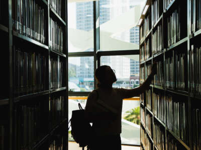 A person looks at books on shelves in a library, silhouetted by light from window behind them