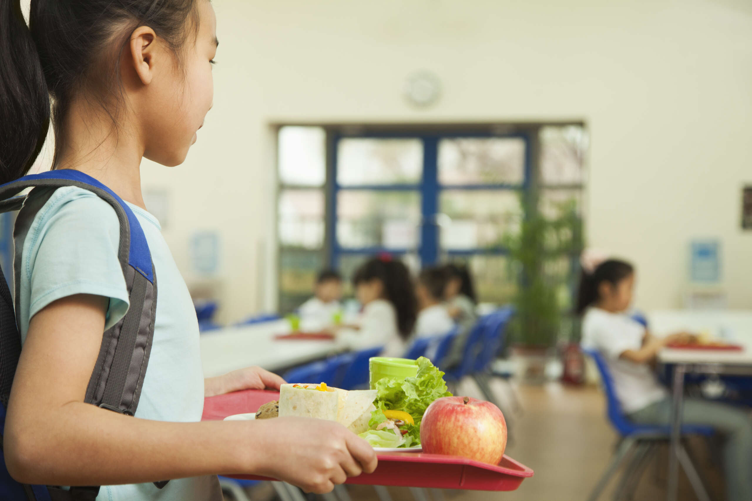 Minnesota Becomes 4th State to Provide Free Meals to All Kids at Public Schools - Vimarsana News