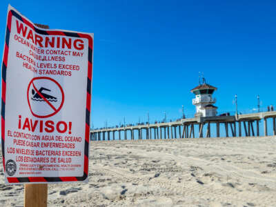 A sign warning people not to swim in toxic water is posted on a beach