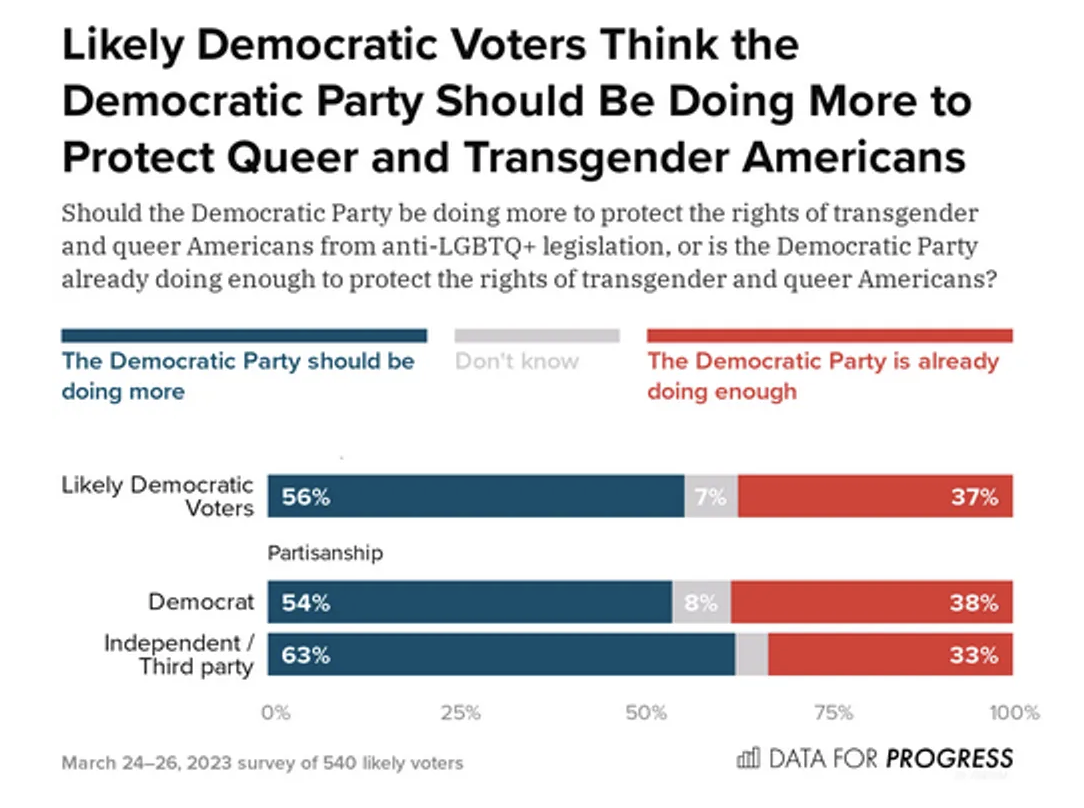 Likely Democratic Voters Think the Democratic Party SHould Be Doing More to Protect Queer and Transgender Americans - chart