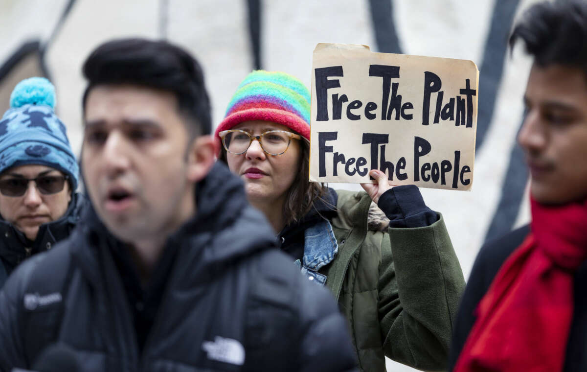 A protester holds a sign reading "FREE THE PLANT, FREE THE PEOPLE" during an outdoor demonstration