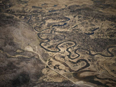 The dwindling Colorado river runs through the brown ground of a burnt forest