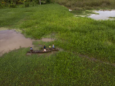 Aerial view of Cano Belludo, a tributary of the Ucayali River, in Pacaya Samiria National Reserve, Ucayali River, Peru.