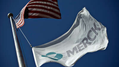 A Merck flag flies in front of the company's building on October 2, 2013, in Summit, New Jersey.