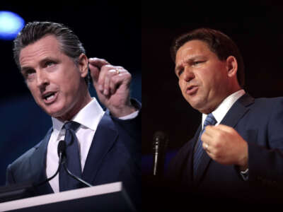 California Gov. Gavin Newsom (D) and Florida Gov. Ron DeSantis (R).