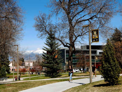 Spring campus scene at Montana State University in Bozeman, Montana.