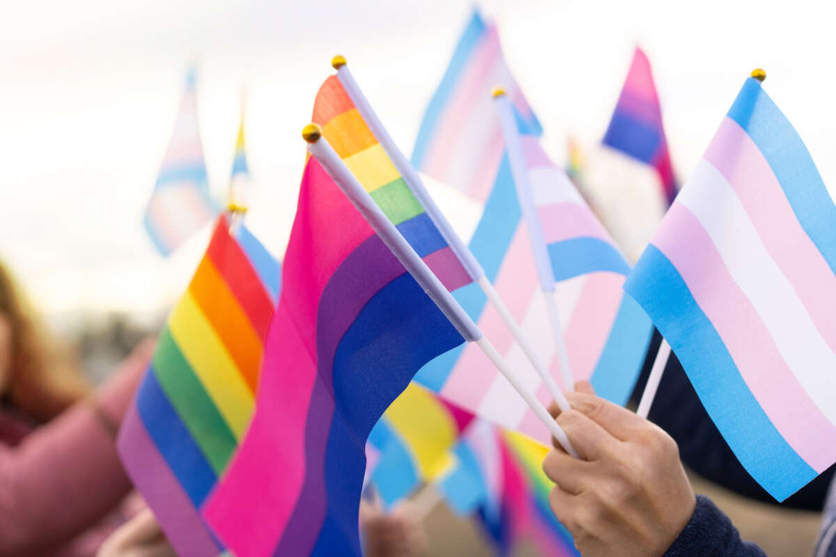 People hold small LGBTQ pride flags
