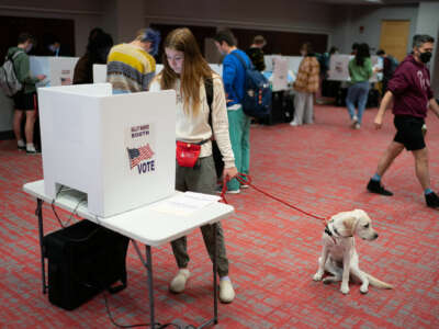 An Ohioan votes with their dog in a room with deep red carpet, surrounded by other people voting at other booths