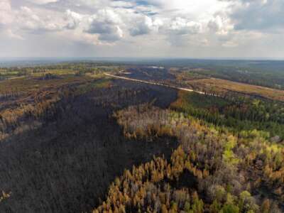 A burnt landscape caused by wildfires is pictured in Alberta, Canada on May 10, 2023.