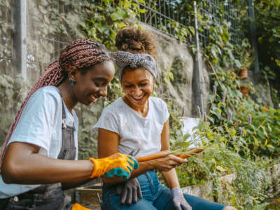 Two Black woman laugh together while gardening