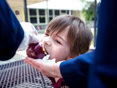 A boy receives help eating an apple from an adult wearing gloves