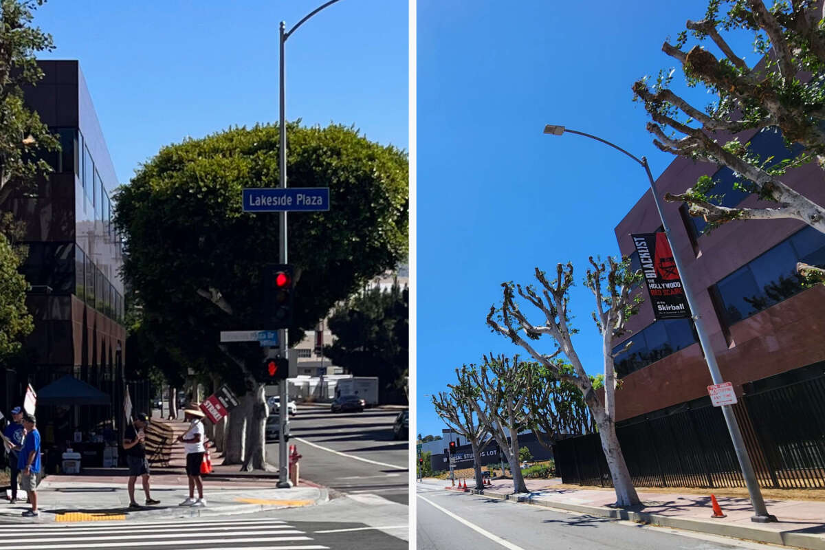 Trees outside of Universal Studios in Los Angeles, California, are pictured on the left on July 14 before they were cut back, as seen in the photo on the right from July 18.
