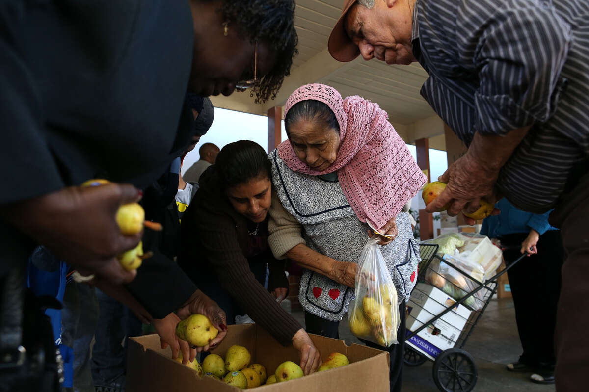 People pick through a box of pears as they wait in line to receive free food at the Richmond Emergency Food Bank on November 1, 2013, in Richmond, California.