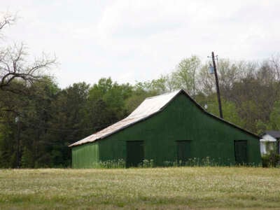 A field in Newbern, Alabama pictured on April 10, 2010.