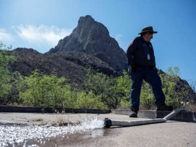 A ranger stands by a hose as it sputters water onto the ground