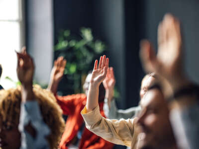 Students raise hands in class