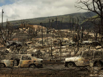 Carcasses of cars are seen among the ashes of burnt neighborhood in the aftermath of a wildfire, in Lahaina, western Maui, Hawaii, on August 14, 2023.