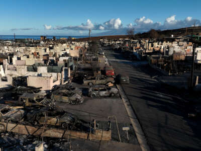 In an aerial view, burned cars and homes are seen in a neighborhood that was destroyed by a wildfire on August 18, 2023, in Lahaina, Hawaii.