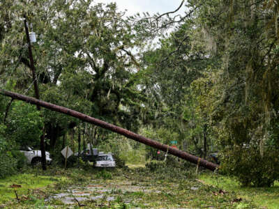 A downed tree lays akimbo across a branch-littered street in the aftermath of Hurricane Idalia, blocking the stationary cars seen behind them