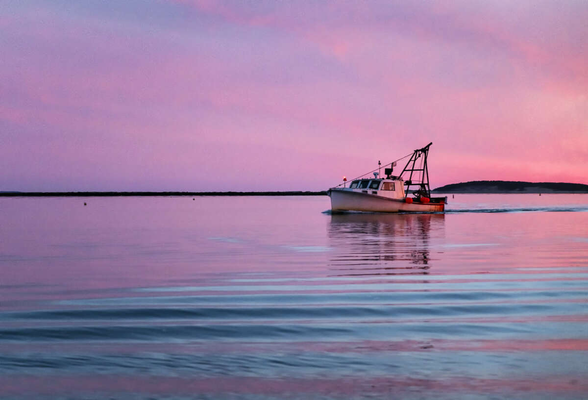 A commercial fishing boat returns to harbor at sunset in Cape Cod, Massachusetts, on September 5, 2019.