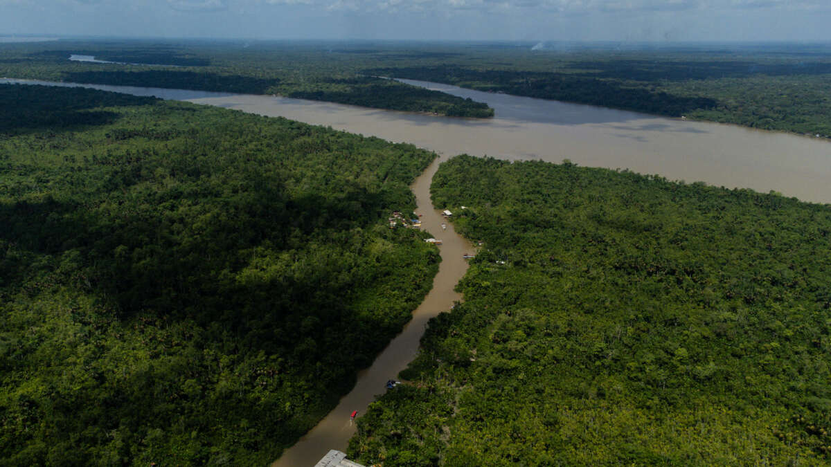 deforestation amazon rainforest