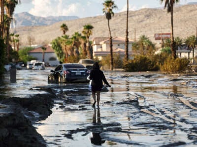 A person walks on a flooded street against a backdrop of palm trees in Cathedral City, California