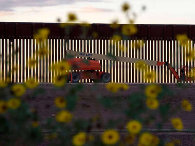 A mechanical lift is seen through flowers next to a section of newly constructed border wall in Hidalgo, Texas, on January 11, 2021.