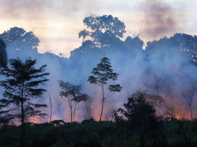 Fire burns in a deforested section along the Interoceanic Highway in the Amazon lowlands on November 16, 2013, in Madre de Dios region, Peru.