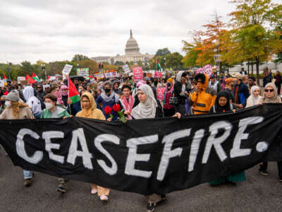 Protesters hold a demonstration in support of a cease-fire against the Palestinians in Gaza near The Mall on October 20, 2023, in Washington, D.C.
