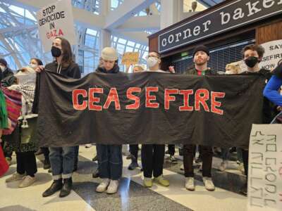Demonstrators from across several Midwest states gather at the Ogilvie Transportation Center in downtown Chicago demanding a ceasefire in Gaza, on November 13, 2023.